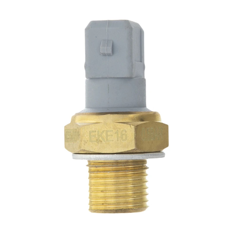 فشنگی روغن مسمر ایتالیا مناسب برای پژو 405