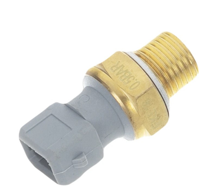 فشنگی روغن اصل پژو 405 ایتالیا