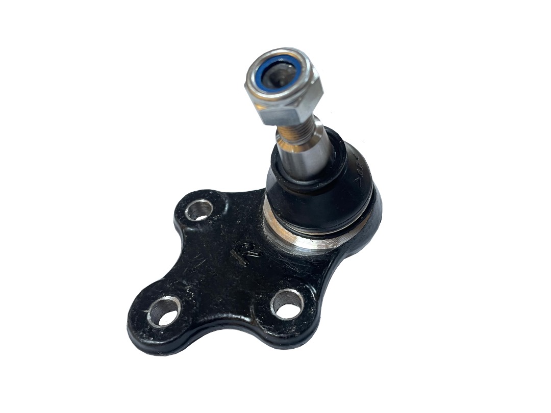 سیبک طبق چپ لاماری وجودی